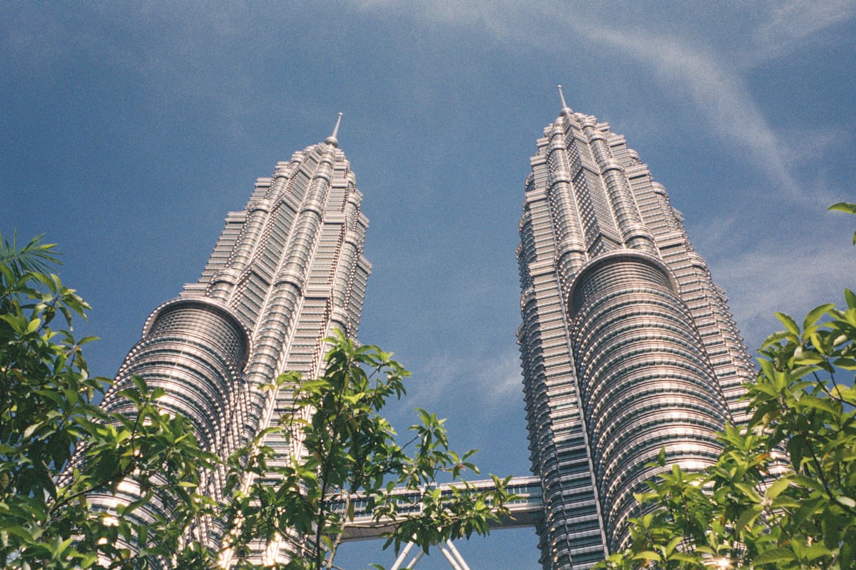 The towers framed by tropical greenery